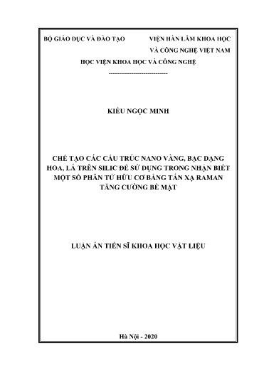 Chế tạo các cấu trúc nano vàng, bạc dạng hoa, lá trên silic để sử dụng trong nhận biết một số phân tử hữu cơ bằng tán xạ Raman..