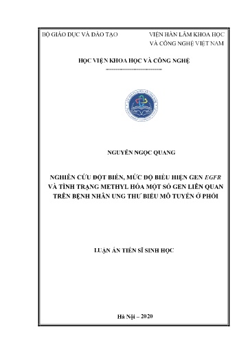 Nghiên cứu đột biến, mức độ biểu hiện Gen EGFR và tình trạng METHYL hoá một số gen liên quan trên bệnh nhân ung thu biểu mô..