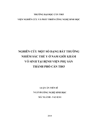 Nghiên cứu một số dạng bất thường nhiễm sắc thể Y ở nam giới khám vô sinh tại Bệnh viện Phụ sản thành phố Cần Thơ