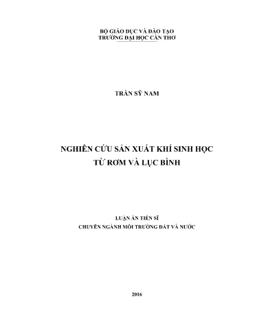 Nghiên cứu sản xuất khí sinh học từ rơm và lục bình
