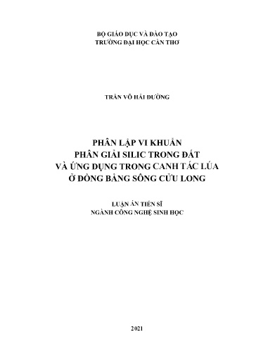 Phân lập vi khuẩn phân giải silic trong đất và ứng dụng trong canh tác lúa ở Đồng bằng sông Cửu Long